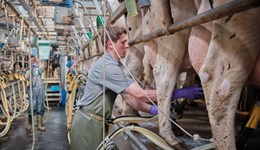 Mastitis control: small changes, big results